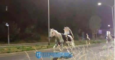 Cavalli in fuga a Roma durante le prove della parata del 2 Giugno dopo l’esplosione di fuochi d’artificio, con il racconto audio di una carabiniera sotto choc