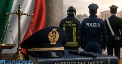 Approfondimento giuridico sul quid pluris nelle Vittime del Dovere e sul riconoscimento dello status ai sensi della legge n. 266 del 2005